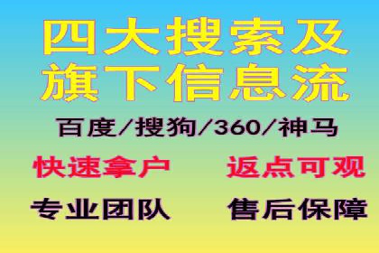 SEM代运营服务公司成功案例解析